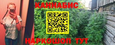 прущая мука Будённовск
