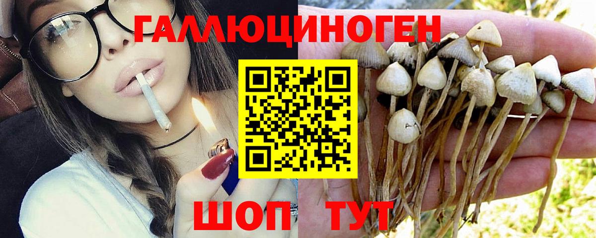 Орск  Галлюциногенные грибы Cubensis  Вход с VPN  цены   Псилоцибиновые грибы Magic Shrooms 